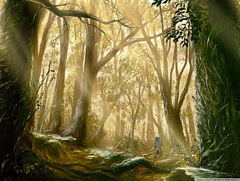 Wondering the woods, trees, sunshine, anime, guy HD wallpaper