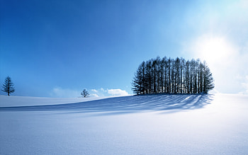 Landscape, Winter, Trees, Snow HD wallpaper