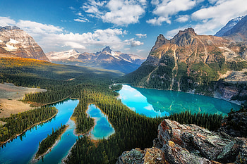 O'Hara Lake, Yoho NP, British Columbia, forests, nature, canada, bc, mountains, lake HD wallpaper