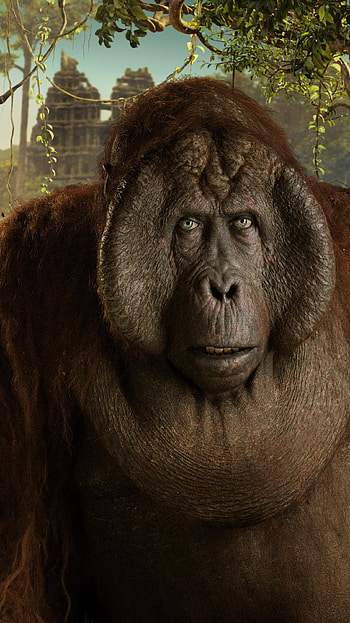 The Jungle Book (2022) movie HD phone wallpaper