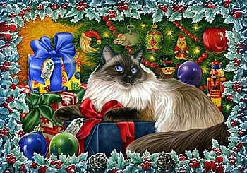 Christmas cat, animal, kitten, holiday, art, christmas, cat, feline, gift HD wallpaper