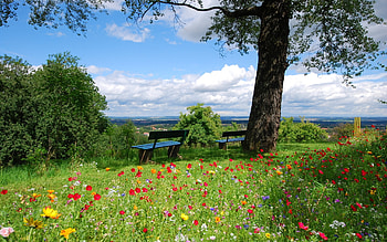 Landscape, Nature HD wallpaper