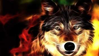 Preview wolf, face, light, lines HD wallpaper
