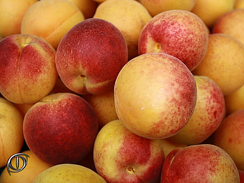 Fruits, Food, Background, Peaches HD wallpaper