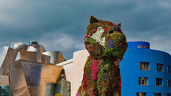 Jeff Koons Puppy, Guggenheim Museum, Bilbao, Spanish art HD wallpaper