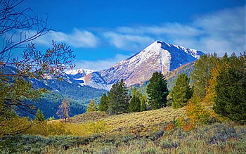 Beaverhead Crater, Flatiron Mountain, Lemhi Range, Idaho, meadow, usa, clouds, landscape, trees, sky HD wallpaper
