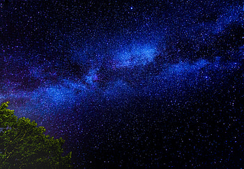 Stars, Night, Dark, Wood, Tree, Starry Sky, Branches HD wallpaper