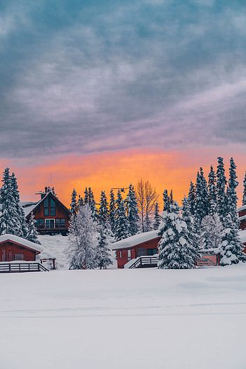 Houses, winter, golden glow, sunset HD phone wallpaper