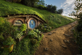 :), greenery, road, abstract, house HD wallpaper
