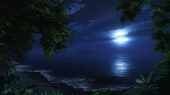 Cg Digital Art Nature Ocean Beaches Waves Sky Night Trees Tropical Jungle At 3d HD wallpaper