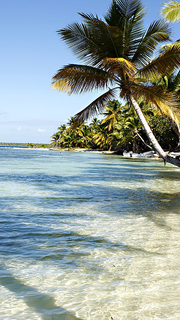 Dominican Republic , , , High quality HD phone wallpaper