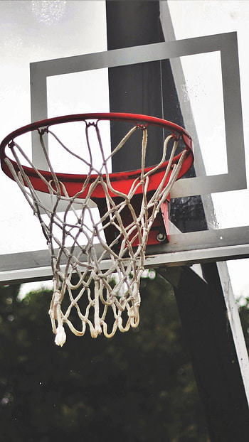 Ball game basketball, Sport venue backboard, Basketball shield, Basketbol duvar HD phone wallpaper
