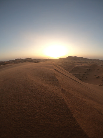 Nature, Sunset, Sand, Desert, Wildlife, Dunes, Links HD phone wallpaper