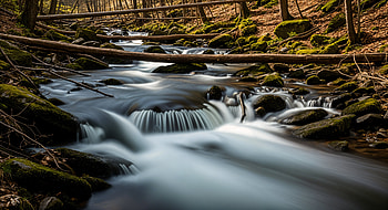 Mossy Forest Creek —, Stream, Waterfall HD wallpaper