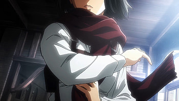 Mikasa, Anime, Attack on Titan, Mikasa Ackerman HD wallpaper