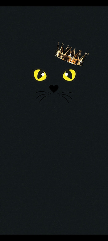 Cat king, catking HD phone wallpaper