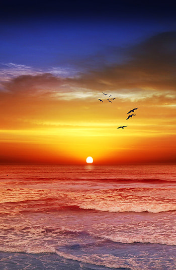 Mobile , backgrounds, Screen beautification, Pocket beauty HD phone wallpaper