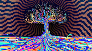  HD wallpaper