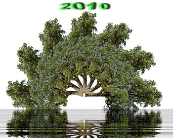 tree, water, 2010, green HD wallpaper