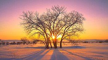 Sunset in the valley, Black Hills, South Dakota, winter, shadows, snow, landscape, colors, trees, sky, sun, usa HD wallpaper