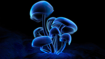 Fluorescence Plants Dark , dark, black, artist, artwork, digital-art HD wallpaper