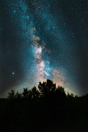 Universe, Stars, Bush, Dark, Fog, Starry Sky HD phone wallpaper