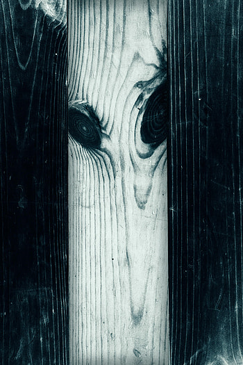 Wood, Tree, Texture, Textures, Surface, Board HD phone wallpaper