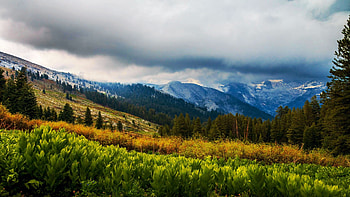 Great West Divide over a field of California corn lilies. Alta Meadow, Sequoia National Park, California, hills, blossoms, trees, landscape, clouds, sky, flowers, mountains, usa HD wallpaper