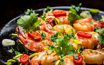 Shrimp , Vibrant sea creatures, Underwater graphy, Ocean life HD wallpaper