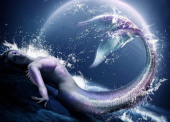 Realistic Purple Mermaid, purple, mermaid, purple mermaid, fantasy woman, realistic, no knee bends HD wallpaper