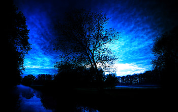 Forest nature sunset landscape, landscape, , nature, forest, sunset HD wallpaper