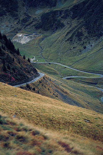 Nature, Trees, Road, Hills, Slopes HD phone wallpaper
