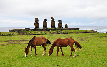 Animals, Food, Grass, Horses, Field, Statues HD wallpaper