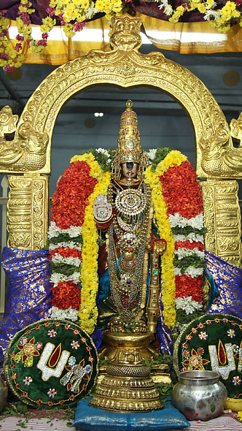 Tirupati Balaji, God Murugan HD phone wallpaper