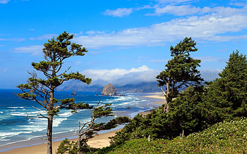 Oregon Beach, sea, sand, oregon, coast, rocks, beach, surf, trees, nature, ocean HD wallpaper