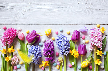 Flowers, colorful, arranged HD wallpaper