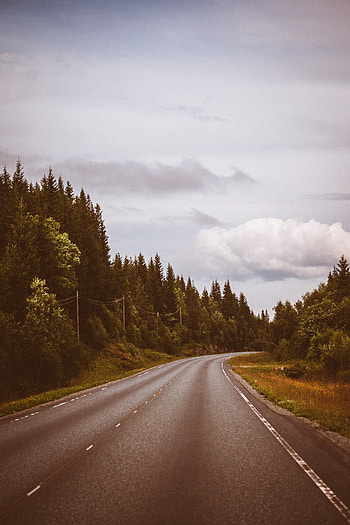Nature, Trees, Sky, Road, Markup, Forest, Dahl, Distance HD phone wallpaper