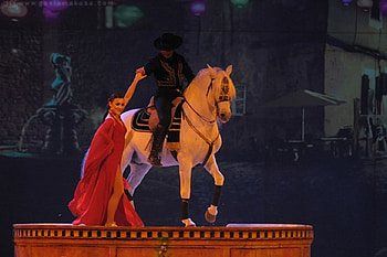 Appasionata-Flamenco Performance, spanish, andalusian, horses, performance, dance, appasionata HD wallpaper