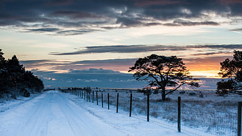 winter road at sunset, winter, clouds, fencemfields, road, sunset, tree HD wallpaper