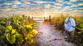 Trail Through the Dunes, South Florida, sea, blossoms, landscape, clouds, sky, usa HD wallpaper