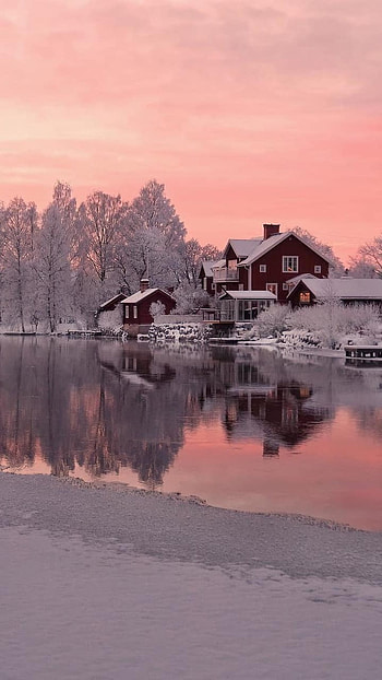 Winter, Redish Season HD phone wallpaper