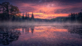 Lake at Dawn, Ontario, winter, snow, colors, trees, sky, canada, reflections, ice HD wallpaper