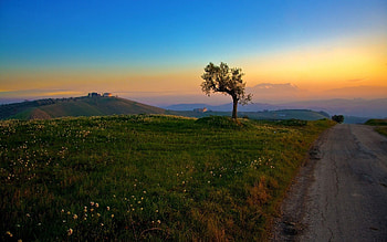 Nature, Summer, Road, Field, Plain HD wallpaper