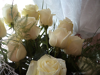 Flowers, Roses, Bouquet HD wallpaper