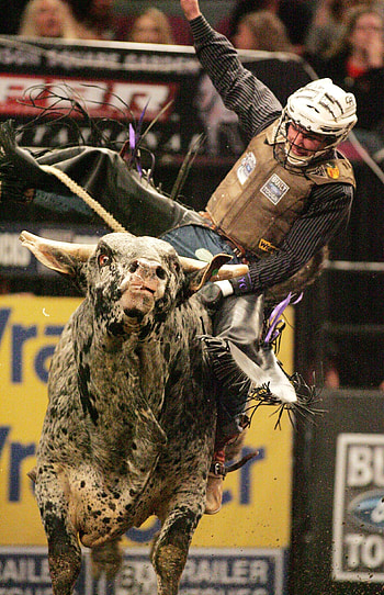 Bullriding ID, Extreme sport, Thrilling moments, Courageous riders HD phone wallpaper