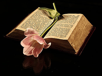 With Love, black, letters, beautiful, romance, nice, book, pretty, flower, love, nature, flowers, romantic, lovely HD wallpaper