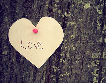 Love, Wood, Tree, Heart, Feelings HD wallpaper