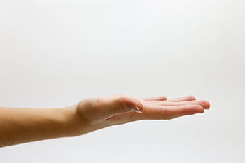Detailed close-up of an open human hand on a white background, emphasizing gestures and expressions. HD wallpaper