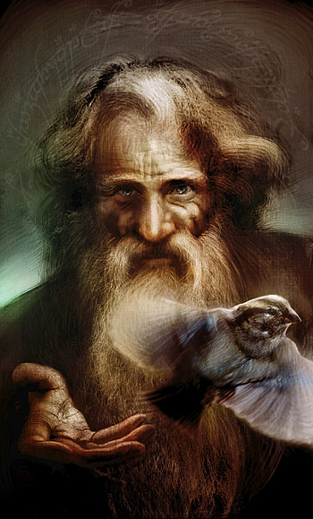 Radagast the Brown, Mysterious wizard, Lord of the Rings, Fabio Leone HD phone wallpaper