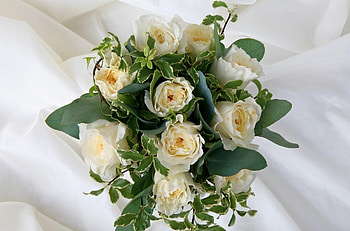 Flowers, Roses, Registration, Typography, Bouquet, Ivy HD wallpaper
